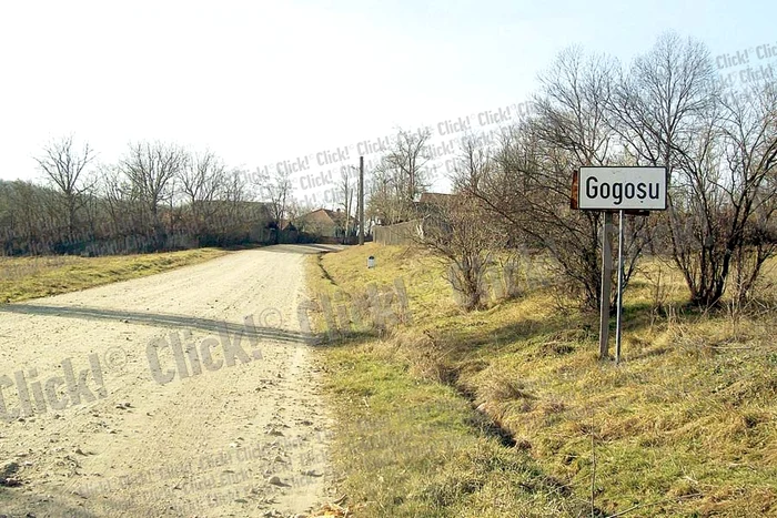 
    Comuna Gogoşu (FOTOGRAFII: ANDREEA MITRACHE)  