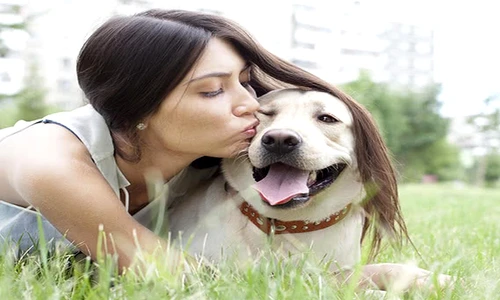 1 79602 original jpg jpeg