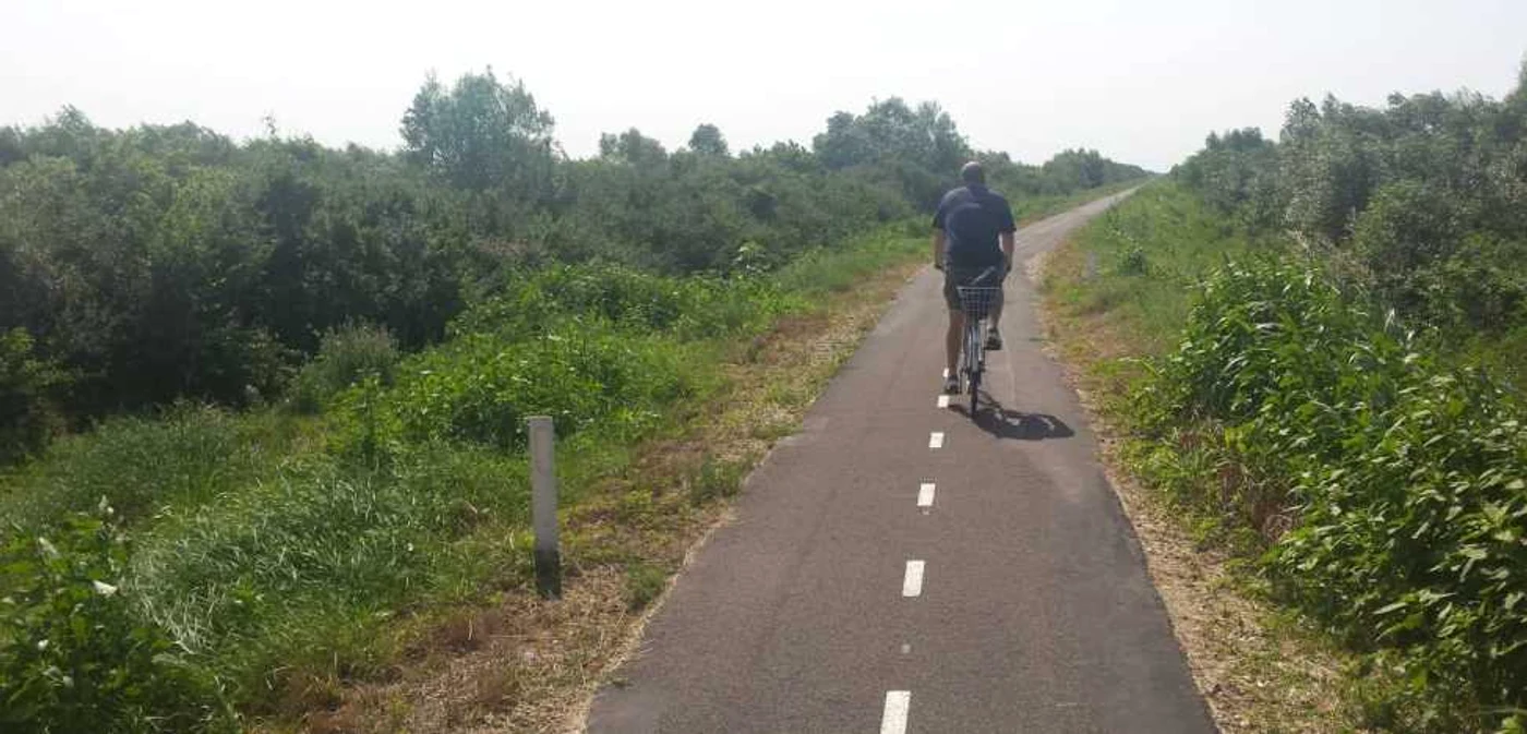 Pista de biciclete de pe digul Begăi. Stâlpişorii de pe margine s-au rărit.  FOTO Ştefan Both