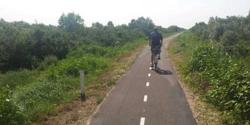 Pista de biciclete de pe digul Begăi FOTO Ştefan Both