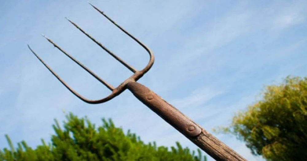 Atac șocant în Brăila. Un bărbat și-a agresat vecinul cu spray lacrimogen, după care l-a lovit cu o scândură, o furcă, o sapă și un cutter