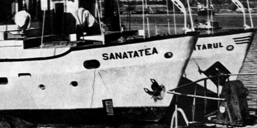 Sanitarul si Sanatatea Colectie nessy ro jpg
