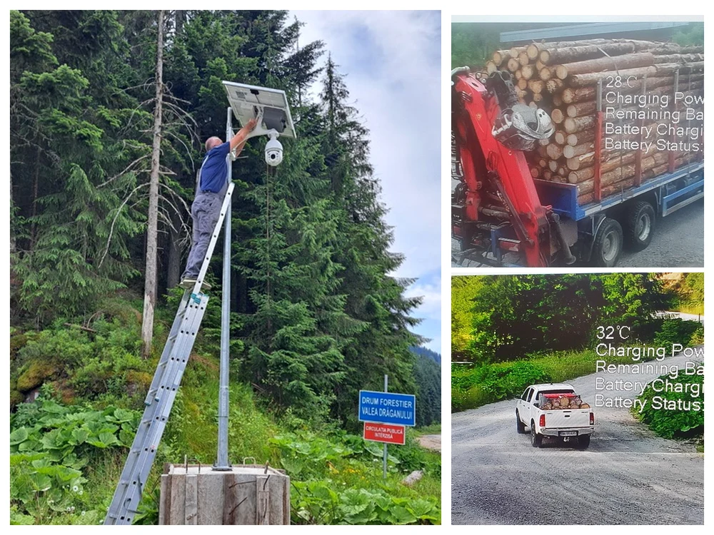 Camera este instalată la o intersecţie de drumuri forestiere în Valea Drăganului. Foto: Teodor Suciu
