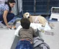 Sasha Badiu Jean Contantin Ifteme Centru de Endoscopie si Chirurgie Minim Invaziva Veterinara (2) jpeg