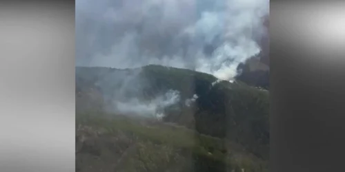 5e90bf2a5163ec4271982db2 jpg