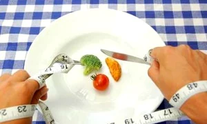 120058 diet460ts jpeg