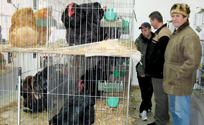 Exemplare fără pereche