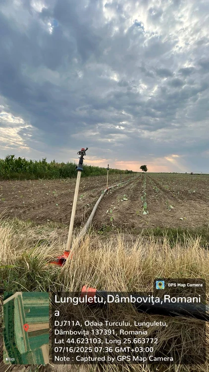 Reprezentanții Administrației Apele Române au găsit motopompe pe malul Dâmboviței FOTO: FB/A. Române