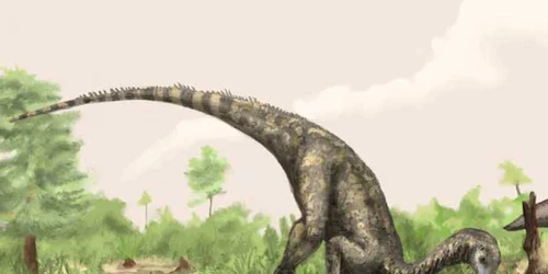 nyasasaurus dinozaur