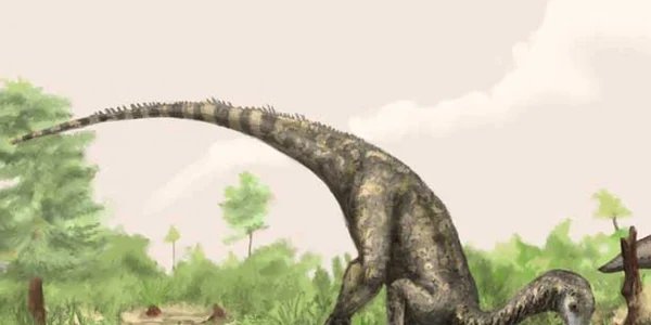 nyasasaurus dinozaur