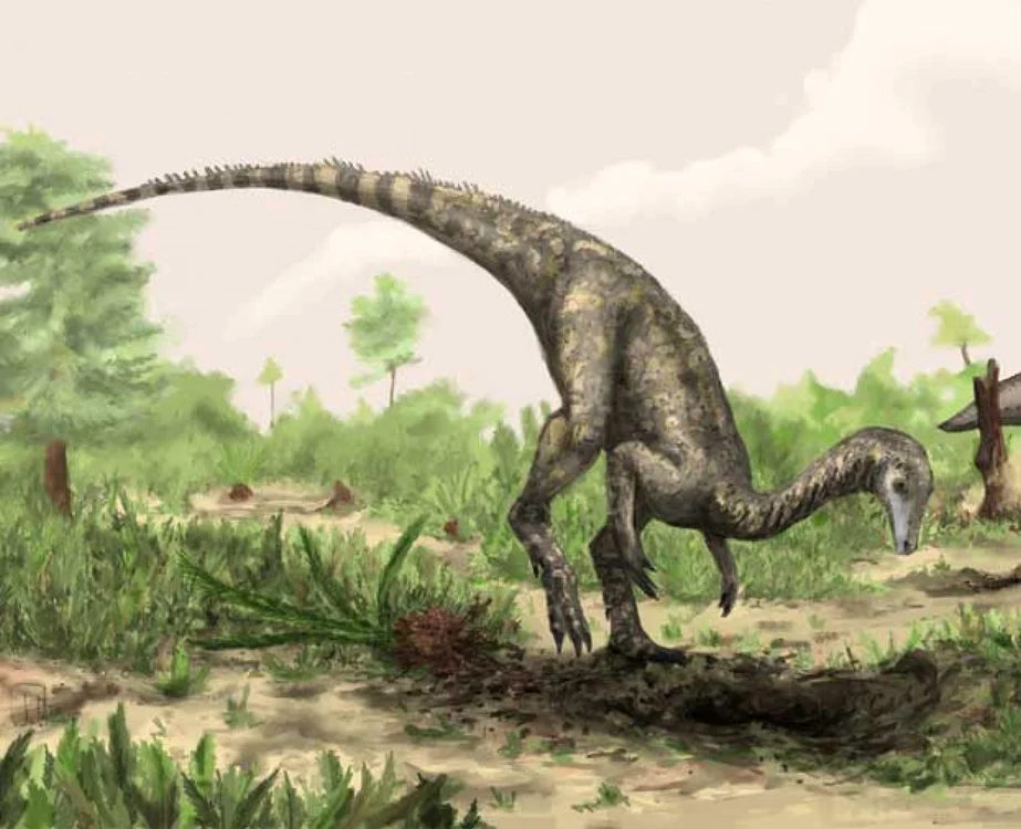 Conform studiului, cel mai vechi dinozaur din lume era biped, iar membrele inferioare erau lungi FOTO discovery.com