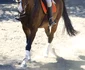 Exclusive Iggy Azalea Goes Horseback Riding In Los Angeles jpeg