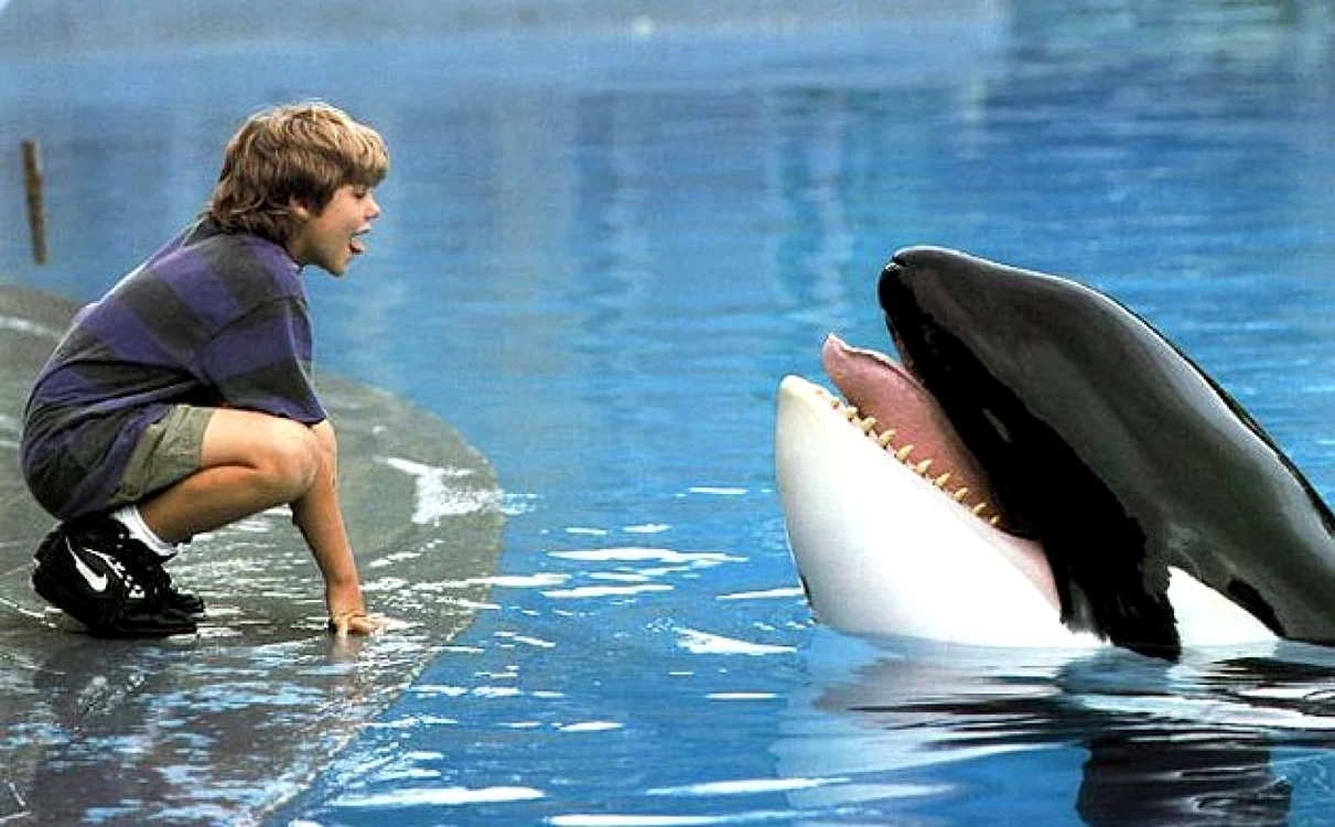 Pelicula „Free Willy“ spune povestea emoţionantă a prieteniei dintre un băieţel şi o balenă