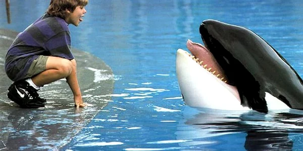 free willy