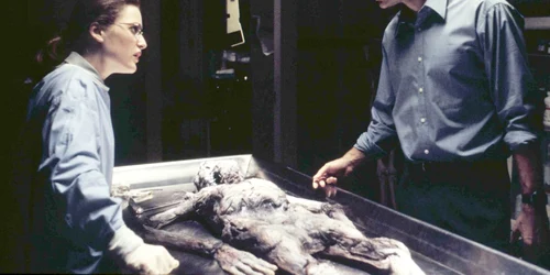 x files