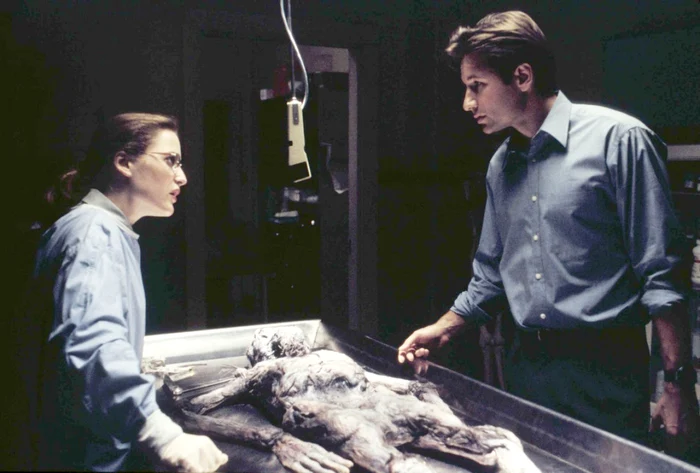 x files