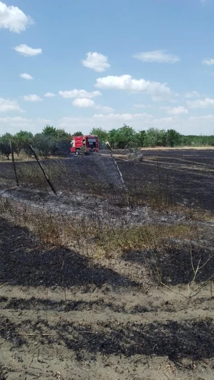 Patru hectare de cultură au fost pârjolite de foc FOTO ISU Ialomiţa