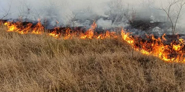 incendiu Vaslui FOTO ISU Vaslui jpg