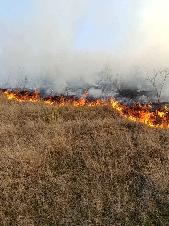 Au ars 55 de hectare de vegetație uscată FOTO ISU Vaslui