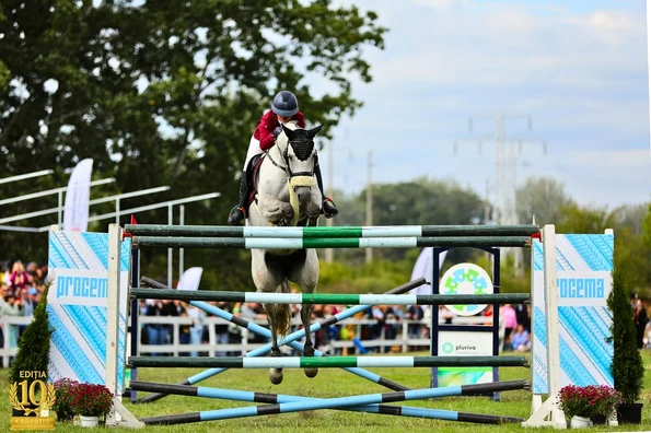 A zecea ediție a Karpatia Horse Show (foto: Ștefan Stoica și Diana Grigoriu)