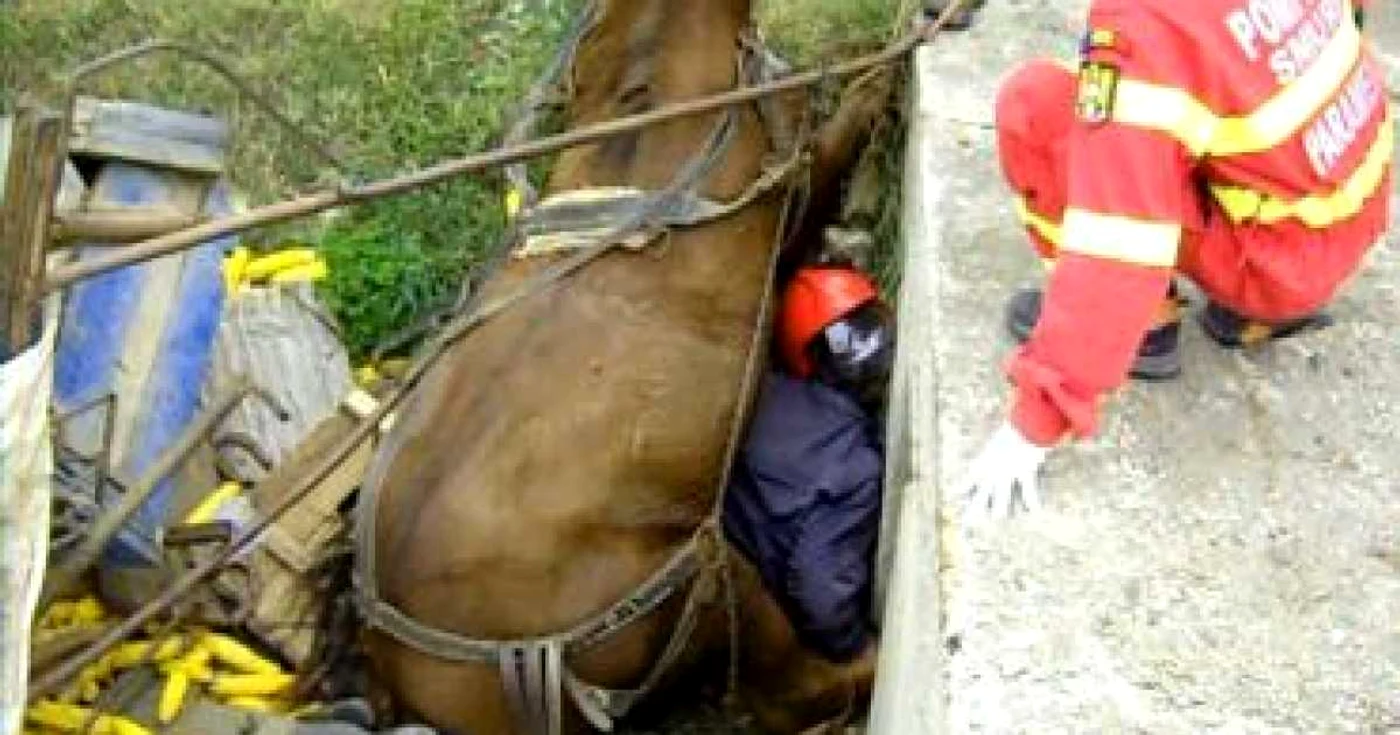 Târgu-Mureş: Dramă în comuna Cipău