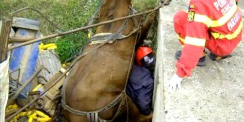 Târgu-Mureş: Dramă în comuna Cipău