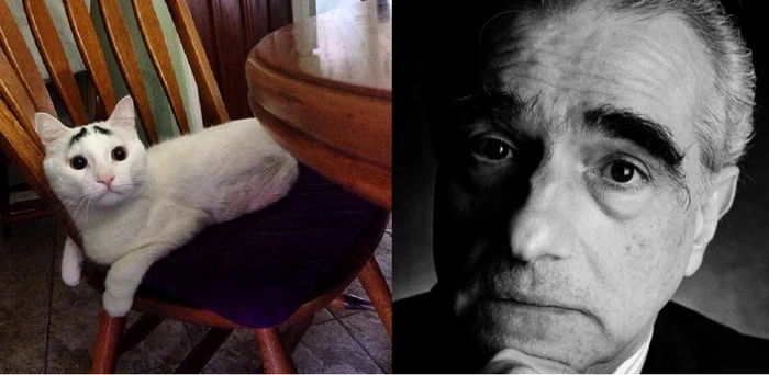 Sam, alături de regizorul Martin Scorsese. FOTO Instagram/cinemablend.com