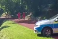 crima Gradina Botanica jpeg
