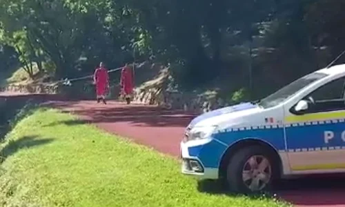 crima Gradina Botanica jpeg