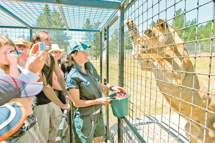 Din motive de siguranţă, încap doar 20 de turişti (Fotografii: Reuters)