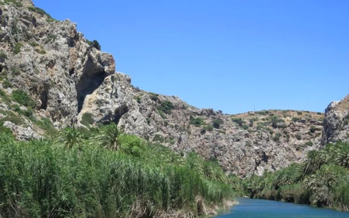 pădurea de palmieri de pe plaja Preveli_Creta