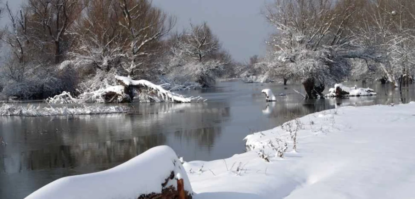 Iarnă adevarată în Delta Dunării