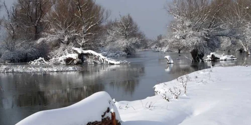 Iarnă adevarată în Delta Dunării