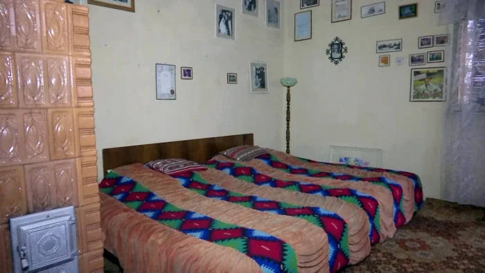 Casa părintească a lui Benone Sinulescu FOTO: Arhivă Adevărul