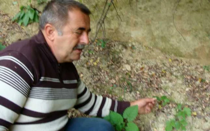 Valea Ibanului