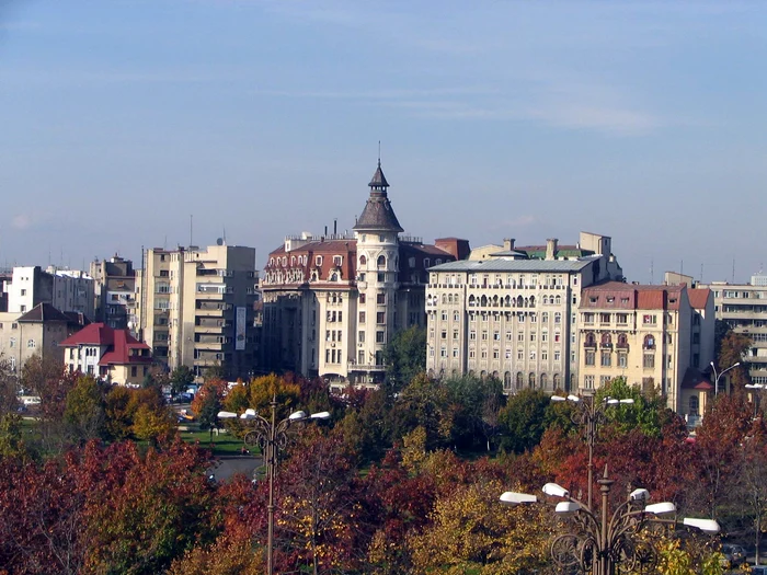 Arbori de oraș jpeg