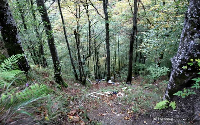tunel lunca cernei