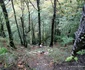 tunel lunca cernei