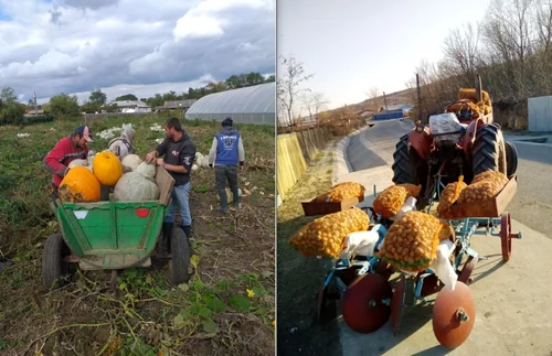 Ferma francezului Eugen Poştaru FOTO Arhiva personală