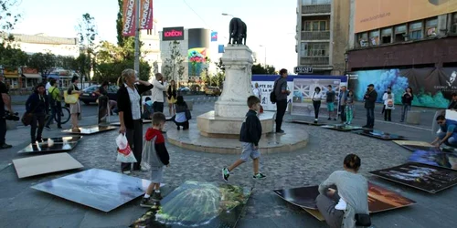 expozitie tara lui enescu