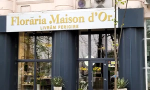 p 24 A  Manolescu jpg