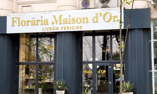p 24 A  Manolescu jpg