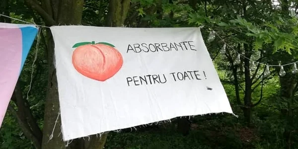 absorbante pentru toate