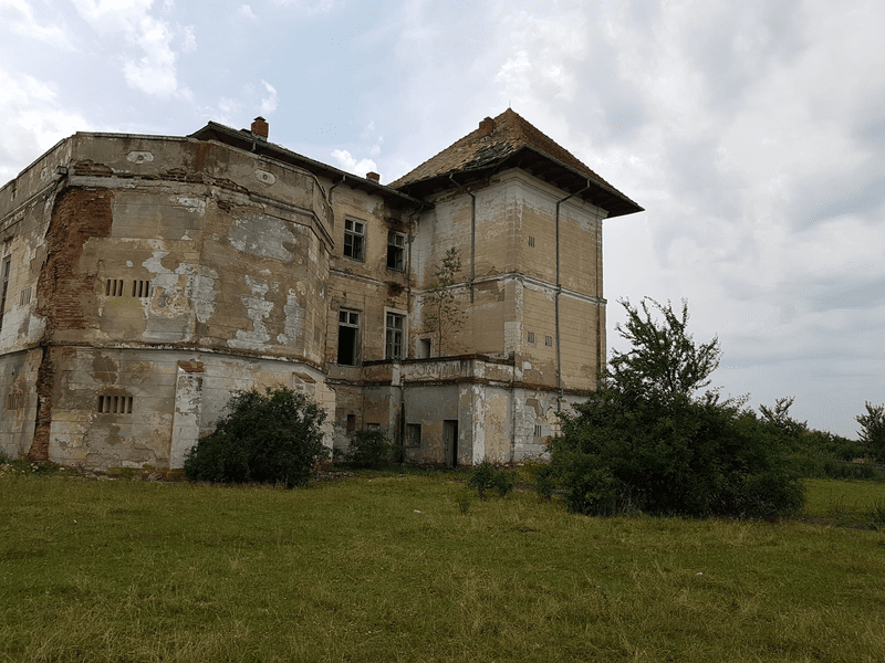  Palatul de la Țigănești, de la lux și opulență, la grajd de vaci și capre