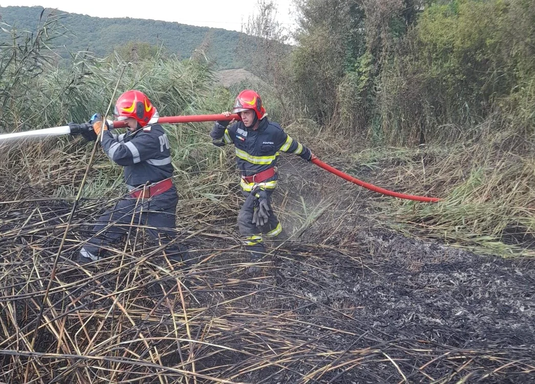 foto pompieri care sting un incendiu de vegetație