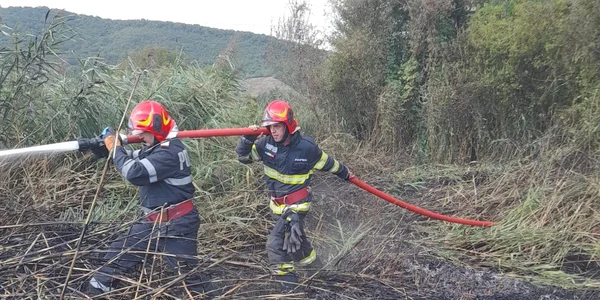 incendiu vegetatie jpg