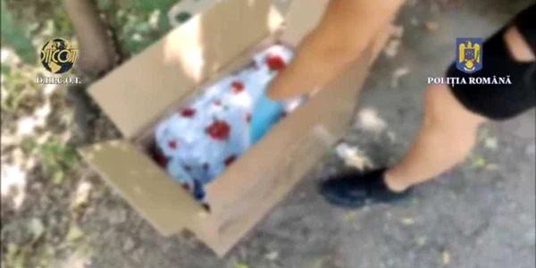 DIICOT: Un bărbat a fost prins în flagrant în timp ce ridica un colet cu peste 2 kg de cannabis primit din Spania