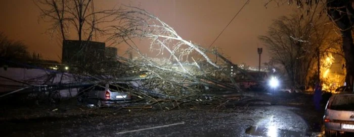 Copaci căzuţi şi localităţi fără curent electric FOTO ISU BIF