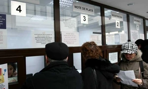 taxe si impozite locale