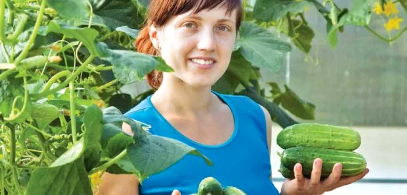 Castraveţi
